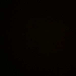 Meet your Posher, Owen